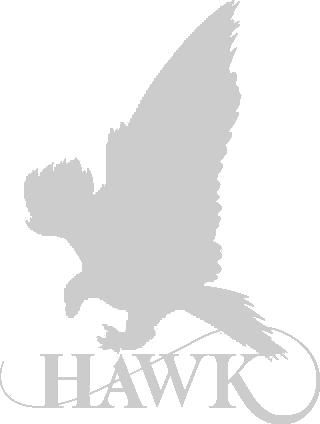 HAWK Supplier Johor Bahru (JB) | HAWK Supplier Malaysia